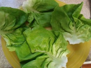 Lettuce cups