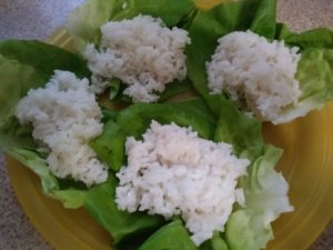 Rice on lettuce cups