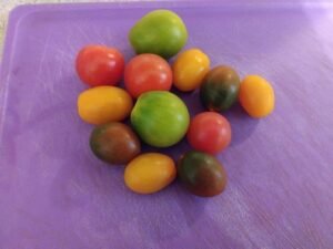 Heirloom grape tomatoes