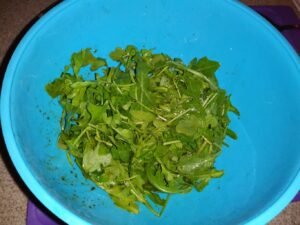 Arugula salad