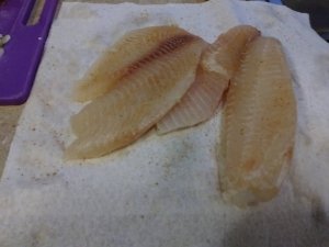 Tilapia